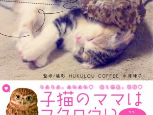 モフモフ！　猫とフクロウの仲良しコンビ“フクちゃん＆マリモ”の新書籍発売！　子猫のマリモは保存版