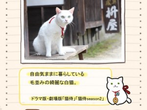 『猫侍』来年2月スペシャルドラマ放送決定！　公式アプリもかわいすぎる～!!