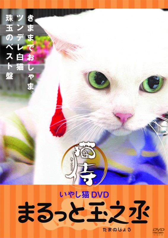 「猫侍 いやし猫DVD まるっと玉之丞」DVD