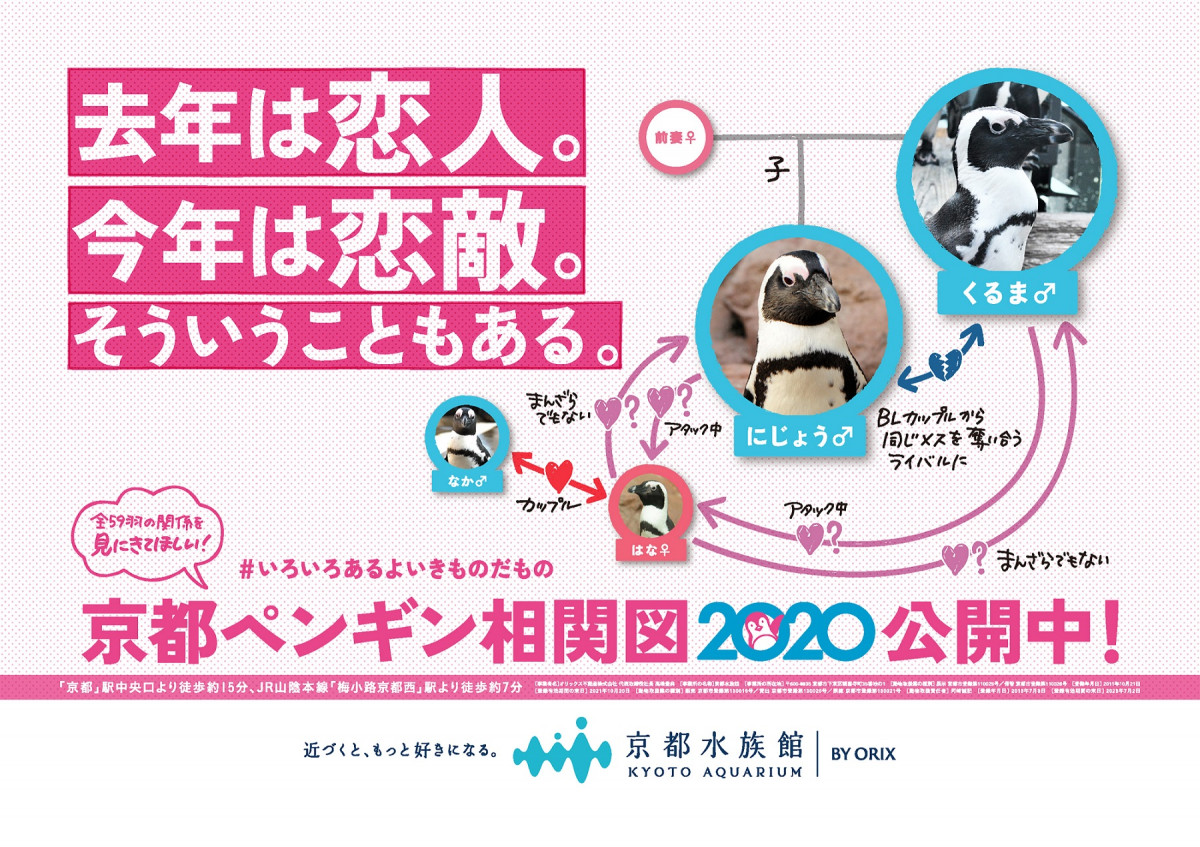 恋敵になった元bl親子 およそ68歳差カップルなど複雑すぎる関係続々 すべて実話の ペンギン相関図 オタ女