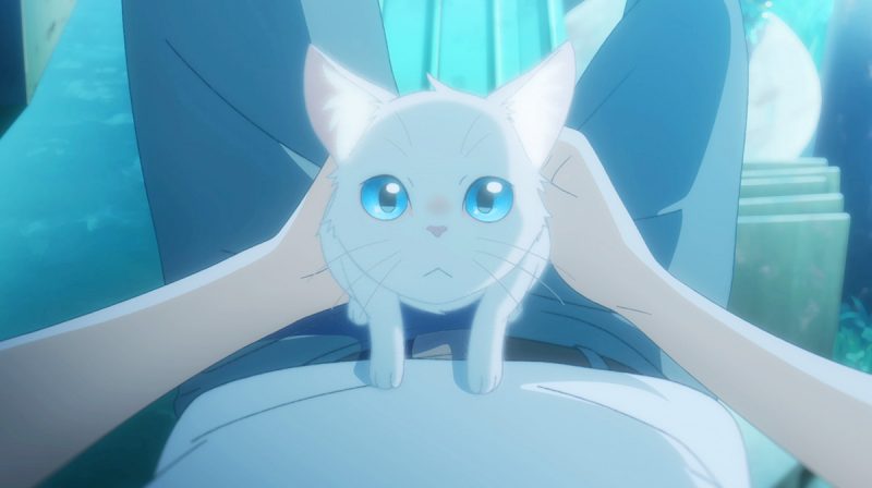 愛猫家 花江夏樹もメロメロ 猫の 太郎 にご注目 Netflixアニメ