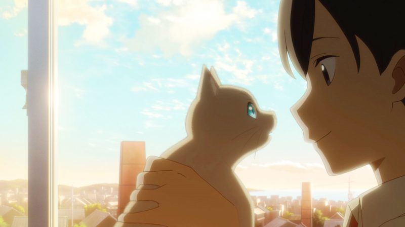 愛猫家 花江夏樹もメロメロ 猫の 太郎 にご注目 Netflixアニメ映画 泣きたい私は猫をかぶる オタ女