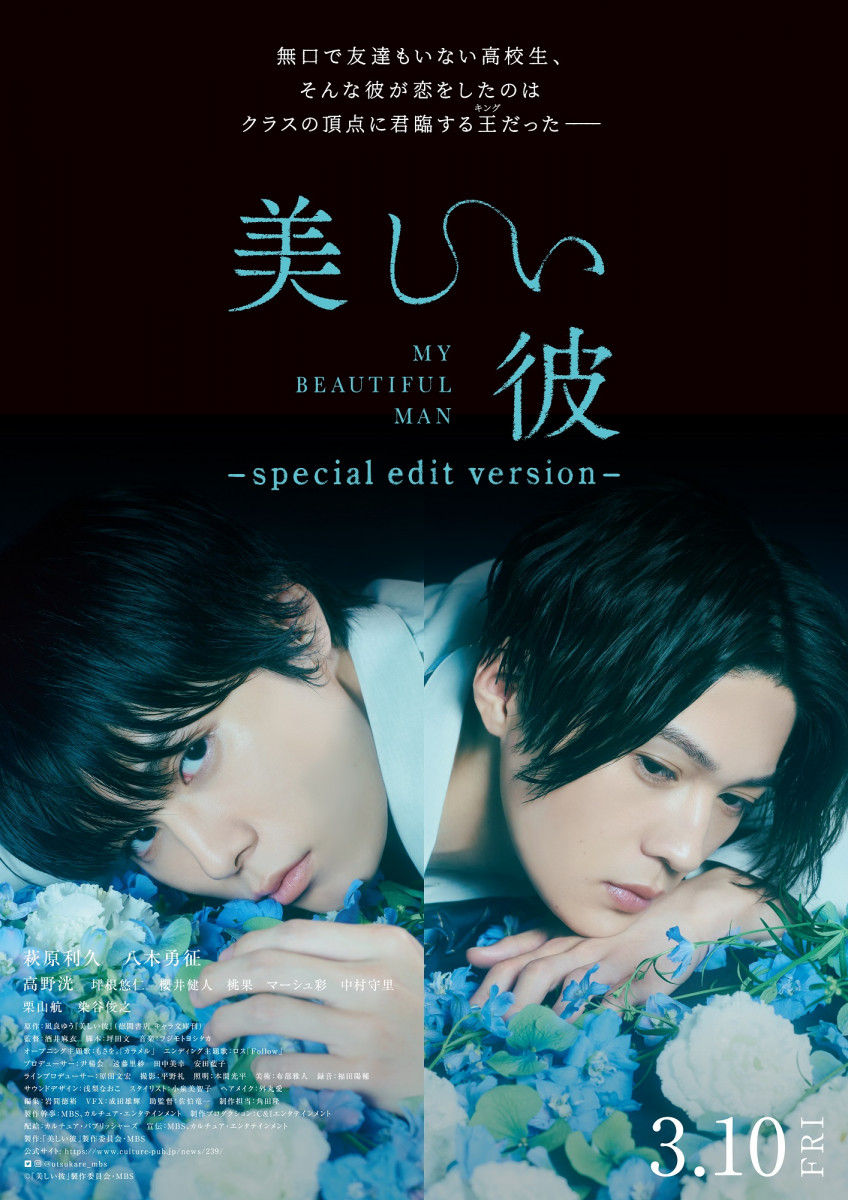 美しい彼 シーズン2\u0026～special edit version～ Blu-r…